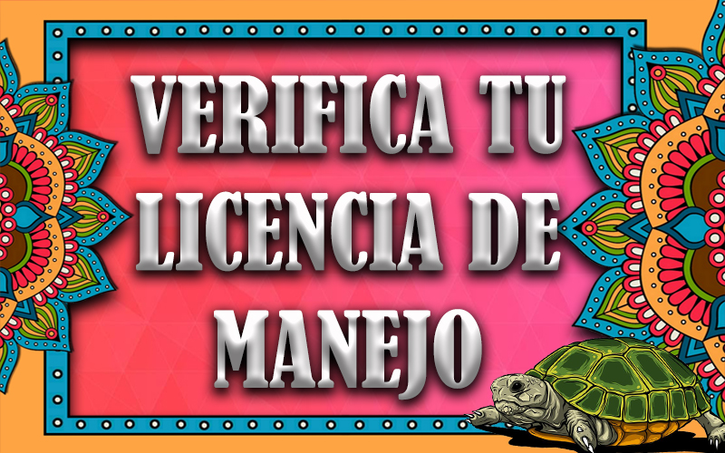 LICENCIA DE MANEJO