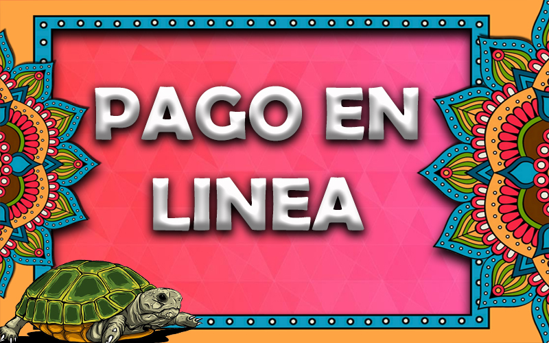 PAGO EN LINEA